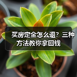 买房定金怎么退?三种方法教你拿回钱(图3) 买房定金怎么退?三种方法教你拿回钱(图3)