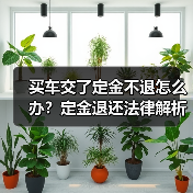 买车交了定金不退怎么办?定金退还法律解析(图4) 买车交了定金不退怎么办?定金退还法律解析(图4)
