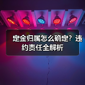 定金归属怎么确定?违约责任全解析(图3) 定金归属怎么确定?违约责任全解析(图3)