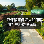 取保候审保证人如何取消?三种情况详解(图2) 取保候审保证人如何取消?三种情况详解(图2)