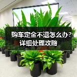 购车定金不退怎么办?详细处理攻略(图1) 购车定金不退怎么办?详细处理攻略(图1)
