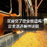 买房交了定金能退吗？定金退还条件详解（图2）