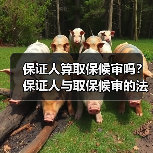 保证人算取保候审吗？保证人与取保候审的法律关系解析（图3）