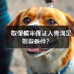 取保候审保证人需满足哪些条件?(图2) 取保候审保证人需满足哪些条件?(图2)