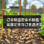 订金能退定金不能退?买房定金与订金退还区别(图2) 订金能退定金不能退?买房定金与订金退还区别(图2)