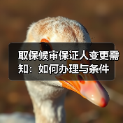 取保候审保证人变更需知：如何办理与条件（图3）