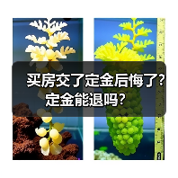 买房交了定金后悔了？定金能退吗？（图2）