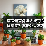 取保候审保证人被罚会留案底？真相让人意外（图1）