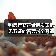 购房者交定金后发现房无五证能否要求全额退款？（图3）