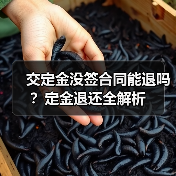 交定金没签合同能退吗？定金退还全解析（图2）