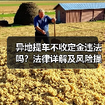 异地提车不收定金违法吗？法律详解及风险提示（图2）