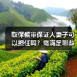 取保候审保证人妻子可以担任吗？需满足哪些条件？（图1）