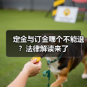 定金与订金哪个不能退？法律解读来了（图1）