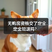 无购房资格交了定金，定金能退吗？（图2）