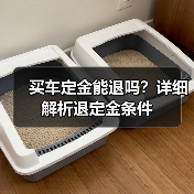 买车定金能退吗？详细解析退定金条件（图1）