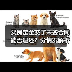 买房定金交了未签合同能否退还？分情况解析（图1）