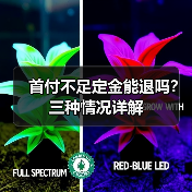 首付不足定金能退吗？三种情况详解（图4）