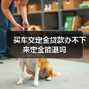 买车交定金贷款办不下来定金能退吗（图1）
