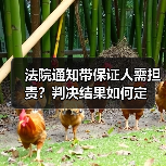 法院通知带保证人需担责？判决结果如何定（图3）
