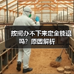 按揭办不下来定金能退吗？原因解析（图3）