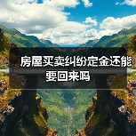 房屋买卖纠纷定金还能要回来吗（图4）