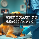 买房定金怎么交？定金比例超20%怎么办？（图3）