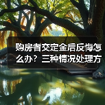购房者交定金后反悔怎么办？三种情况处理方式详解（图3）