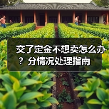 交了定金不想卖怎么办？分情况处理指南（图1）