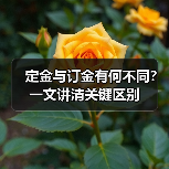 定金与订金有何不同？一文讲清关键区别（图1）