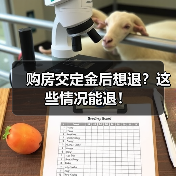购房交定金后想退？这些情况能退！（图2）