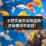 不想买房定金能退吗？这些情况可拿回！（图2）