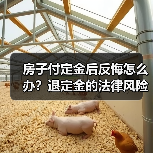 房子付定金后反悔怎么办?退定金的法律风险与处理方式(图2) 房子付定金后反悔怎么办?退定金的法律风险与处理方式(图2)