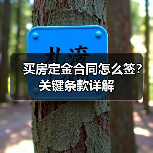 买房定金合同怎么签？关键条款详解（图4）
