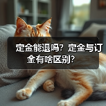定金能退吗?定金与订金有啥区别?(图2) 定金能退吗?定金与订金有啥区别?(图2)