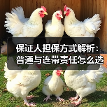 保证人担保方式解析：普通与连带责任怎么选？（图2）