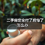 二手房定金付了后悔了怎么办(图2) 二手房定金付了后悔了怎么办(图2)