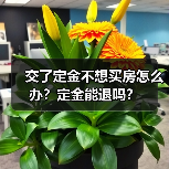 交了定金不想买房怎么办?定金能退吗?(图2) 交了定金不想买房怎么办?定金能退吗?(图2)