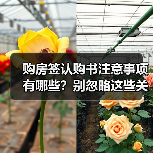 购房签认购书注意事项有哪些？别忽略这些关键点（图2）