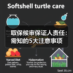 取保候审保证人责任:需知的5大注意事项(图3) 取保候审保证人责任:需知的5大注意事项(图3)
