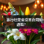 旅行社定金没签合同能退吗？（图4）