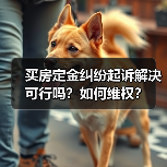 买房定金纠纷起诉解决可行吗?如何维权?(图4) 买房定金纠纷起诉解决可行吗?如何维权?(图4)