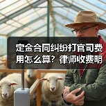 定金合同纠纷打官司费用怎么算？律师收费明细解析（图4）