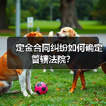 定金合同纠纷如何确定管辖法院？（图2）