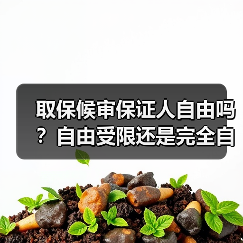 取保候审保证人自由吗?自由受限还是完全自由?(图4) 取保候审保证人自由吗?自由受限还是完全自由?(图4)