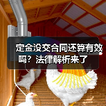 定金没交合同还算有效吗？法律解析来了（图2）