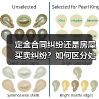 定金合同纠纷还是房屋买卖纠纷?如何区分处理?(图2) 定金合同纠纷还是房屋买卖纠纷?如何区分处理?(图2)