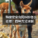 购房定金合同纠纷怎么处理?四种方式详解(图1) 购房定金合同纠纷怎么处理?四种方式详解(图1)