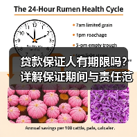 贷款保证人有期限吗?详解保证期间与责任范围(图1) 贷款保证人有期限吗?详解保证期间与责任范围(图1)