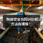 购房定金合同纠纷解决方法有哪些？（图1）