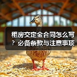租房交定金合同怎么写？必备条款与注意事项全解析（图3）